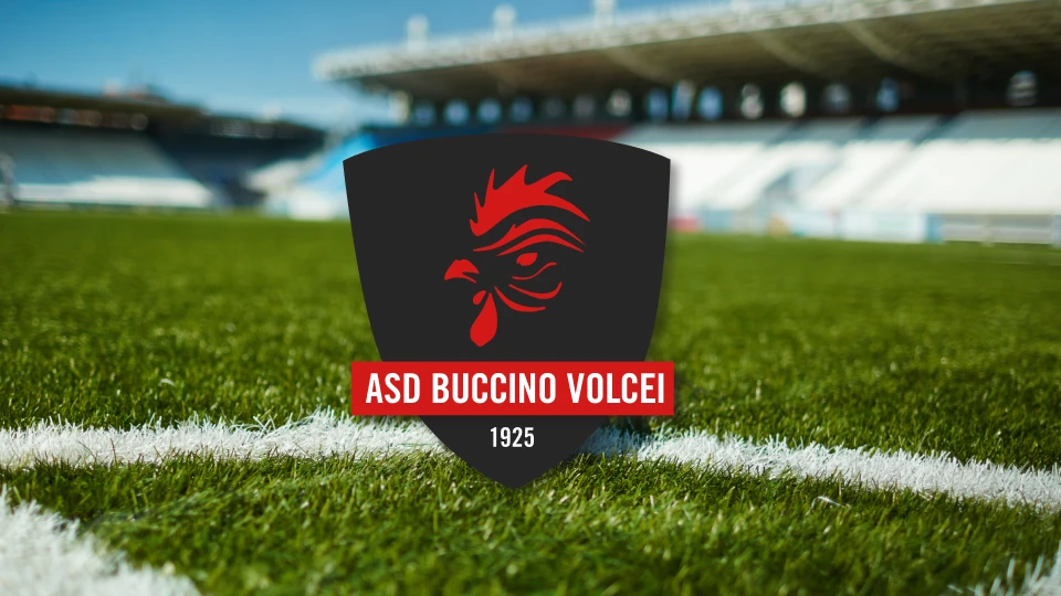 buccinovolcei